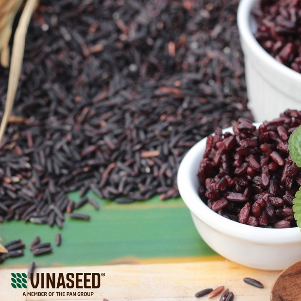 Combo 10 Gạo lứt đen Phúc Thọ Vinaseed 1kg - Gạo tím than dẻo dành cho người giảm cân, thực dưỡng, ăn kiêng