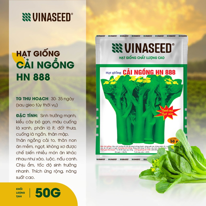 Combo Mix 7 Loại Hạt Giống nhiều khối lượng Vinaseed