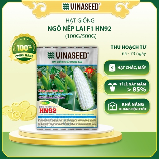 Hạt Giống Ngô Nếp Lai F1 HN92 Vinaseed túi 100g