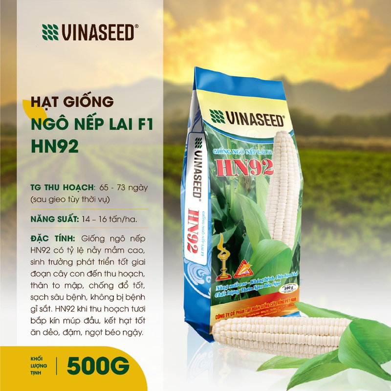 Hạt Giống Ngô Nếp Lai F1 HN92 Vinaseed túi 100g