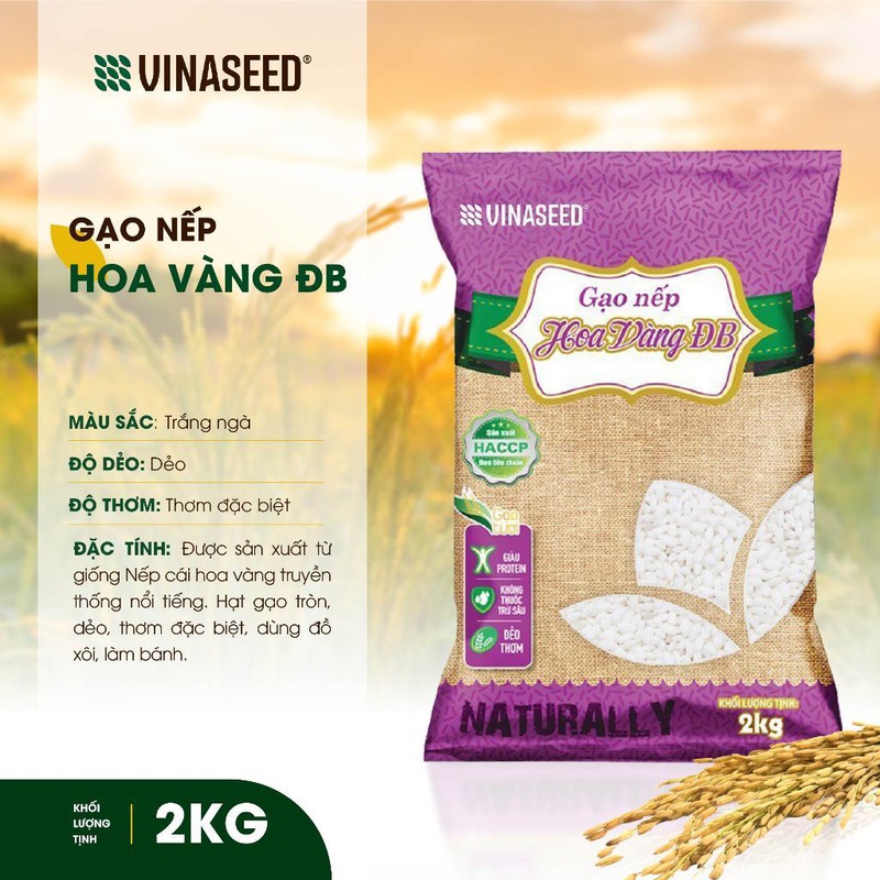 Combo Mix 1 Gạo VJ Pearl Rice 5kg và 2 Gạo Nếp Hoa Vàng loại đặc biệt 2kg Vinaseed