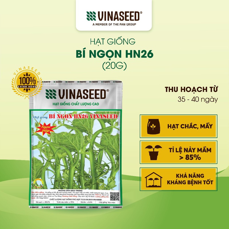 Hạt Giống Bí Ngọn HN26 Vinaseed túi 20g
