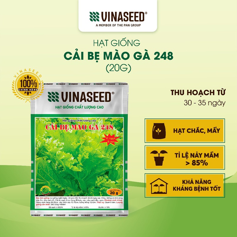 Hạt Giống Cải Bẹ Mào Gà 248 Vinaseed túi 20g