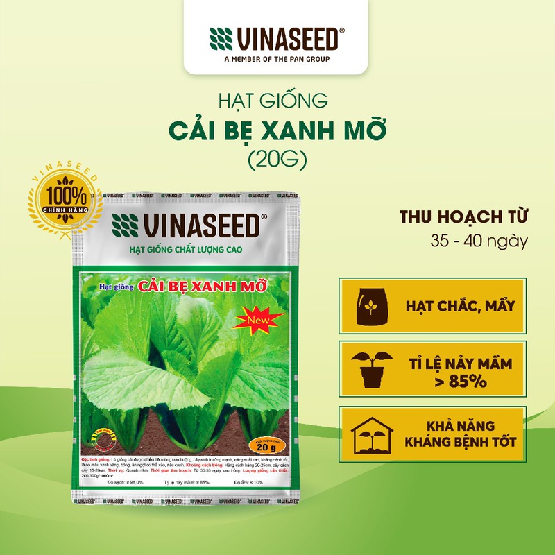 Hạt Giống Cải Bẹ Xanh Mỡ Vinaseed gói 20g